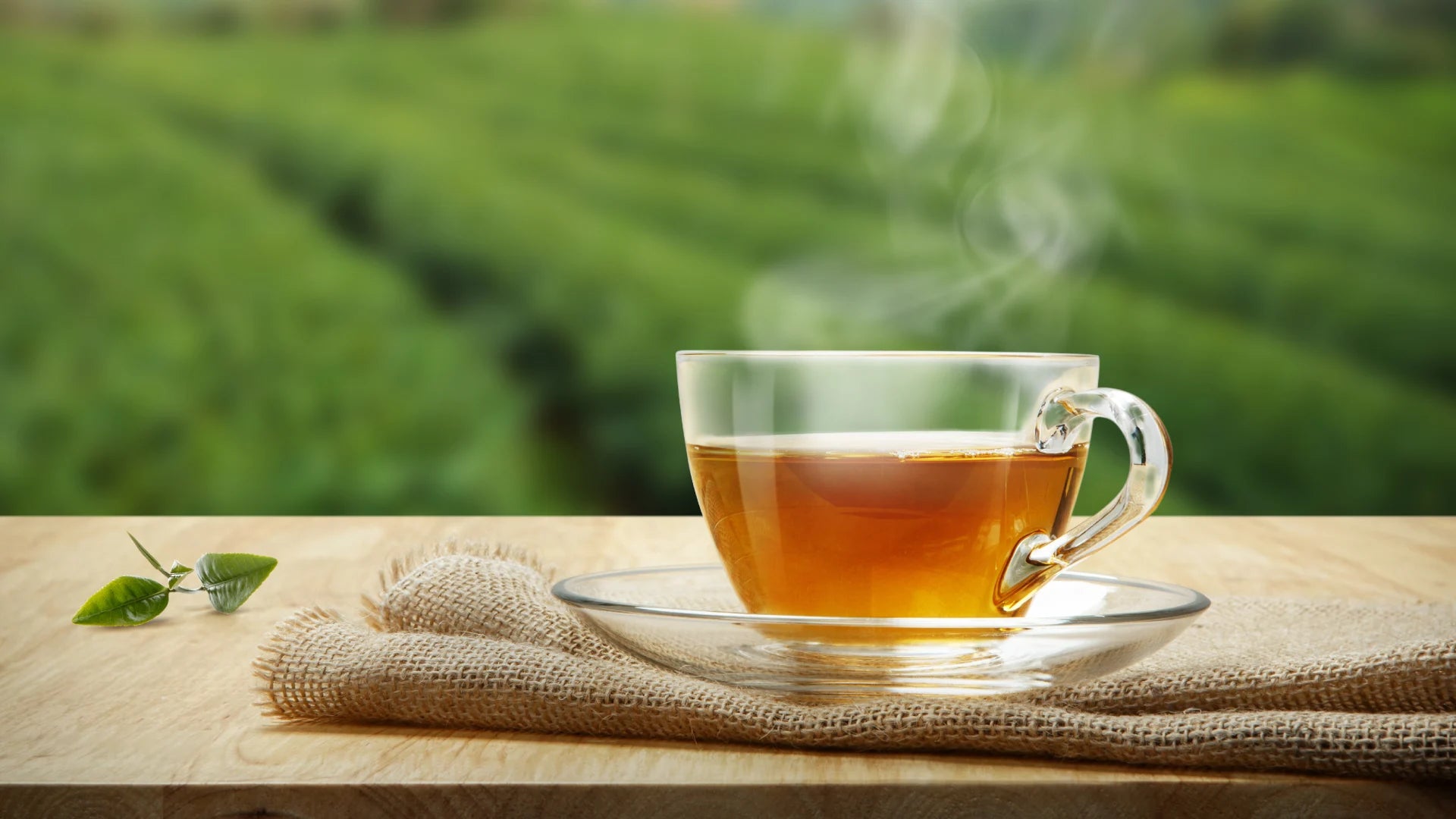 Your Green Tea Ritual: Embracing Relaxation And Mindfulness With Roastea